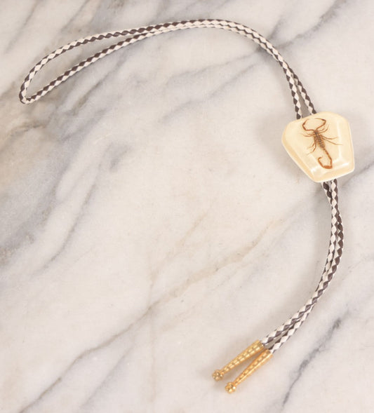 Lot 034 - Vintage Scorpion In Lucite Bolo Tie With White And Brown Cord And White-Backed Pendant