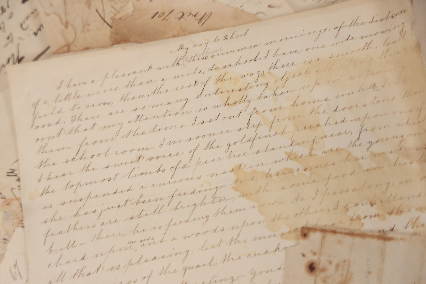 Lot 045 - Discovery Grouping Of 50+ Pieces Of Antique Handwritten & Printed Ephemera, Including Skowhegan House Maine Hotel Ledger Page, Bryan Miner & Reed Wholesale Grocers Billhead, With Checks, Letters & Receipts