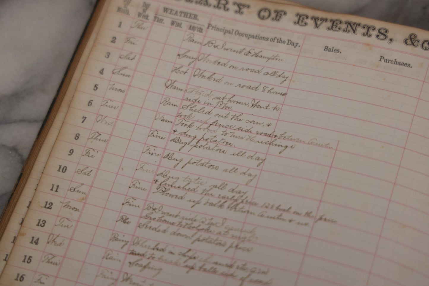 Lot 049 - Antique Ledger, "The People's Comprehensive Diary By Wm. Goodfellow, Ten-Year Book," Printed 1874 By Truair, Smith & Co., Syracuse, Ny, With Handwritten Entries 1875–1892 Logging Daily Occupations, Purchases, Bills, And Cash Paid