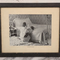 Lot 060 - Antique Framed Photo Art Print, "The Evening Prayer," Girl And Dog Praying On Bed, Copyright 1902 By C.B. Webster & Co., 15-3/4" x 12-3/4"
