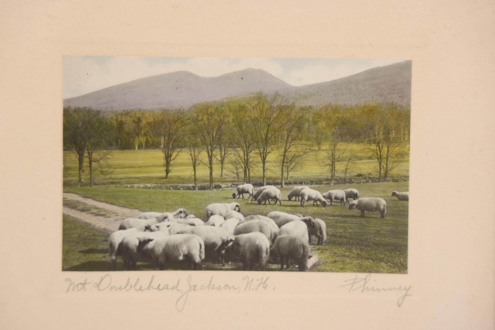 Lot 063 - Antique Framed Hand-Colored Photo Of Sheep Before Mountain Landscape, "Mt. Doublehead, Jackson, New Hampshire," Signed Phinney, 8-7/8" x 7-1/4"