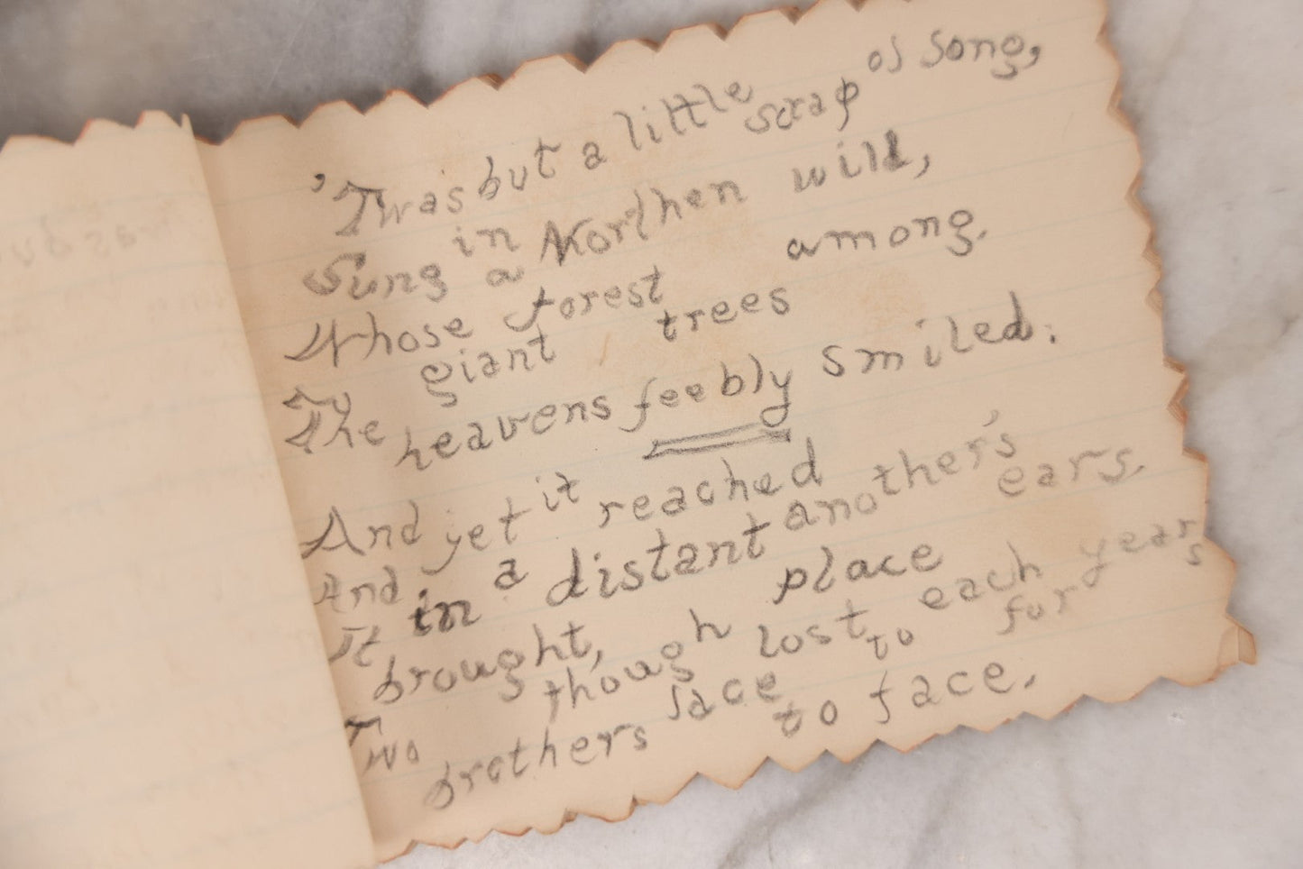 Lot 068 - Antique Hand Made Birthday "Soveigner" [sic] Souvenir Book Dated July 27-Aug 27, 1891, With Poems, Drawings And Captions Of Pets, Family And Home, Original Ribbon Tie Binding, 10+ Pages