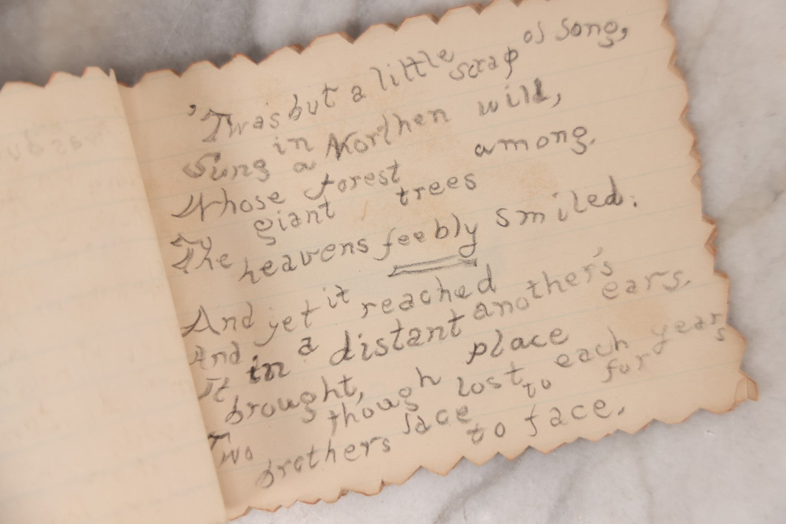 Lot 068 - Antique Hand Made Birthday "Soveigner" [sic] Souvenir Book Dated July 27-Aug 27, 1891, With Poems, Drawings And Captions Of Pets, Family And Home, Original Ribbon Tie Binding, 10+ Pages