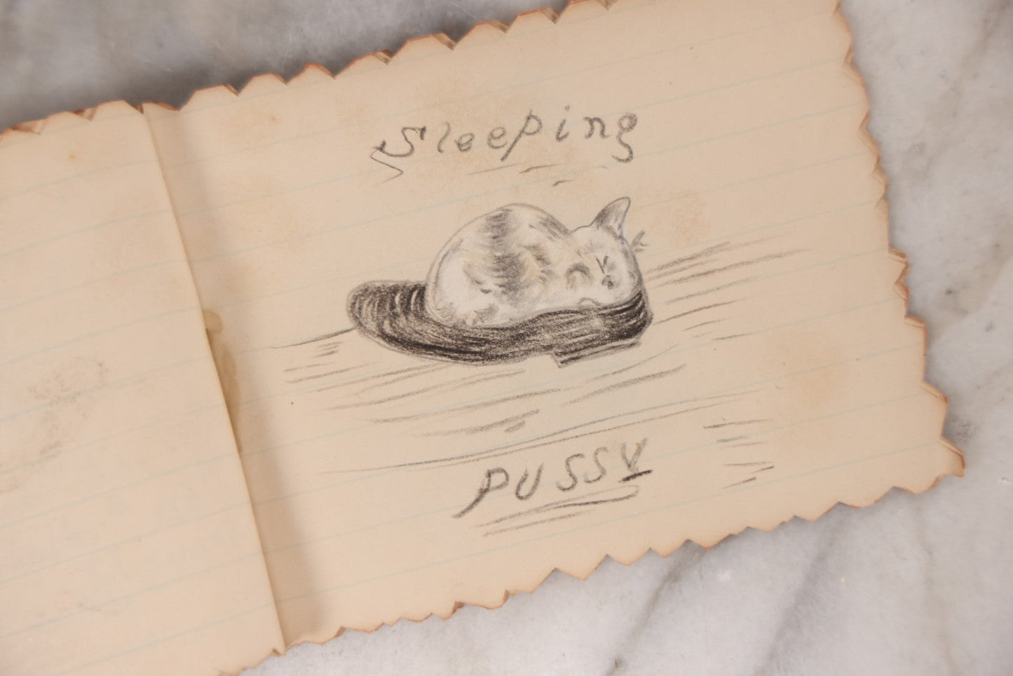 Lot 068 - Antique Hand Made Birthday "Soveigner" [sic] Souvenir Book Dated July 27-Aug 27, 1891, With Poems, Drawings And Captions Of Pets, Family And Home, Original Ribbon Tie Binding, 10+ Pages