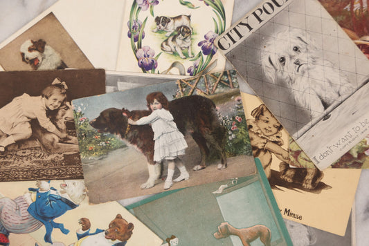 Lot 095 - Grouping Of Twelve Antique Postcards Of Children And Animals Including Dogs, Bears, And Donkeys