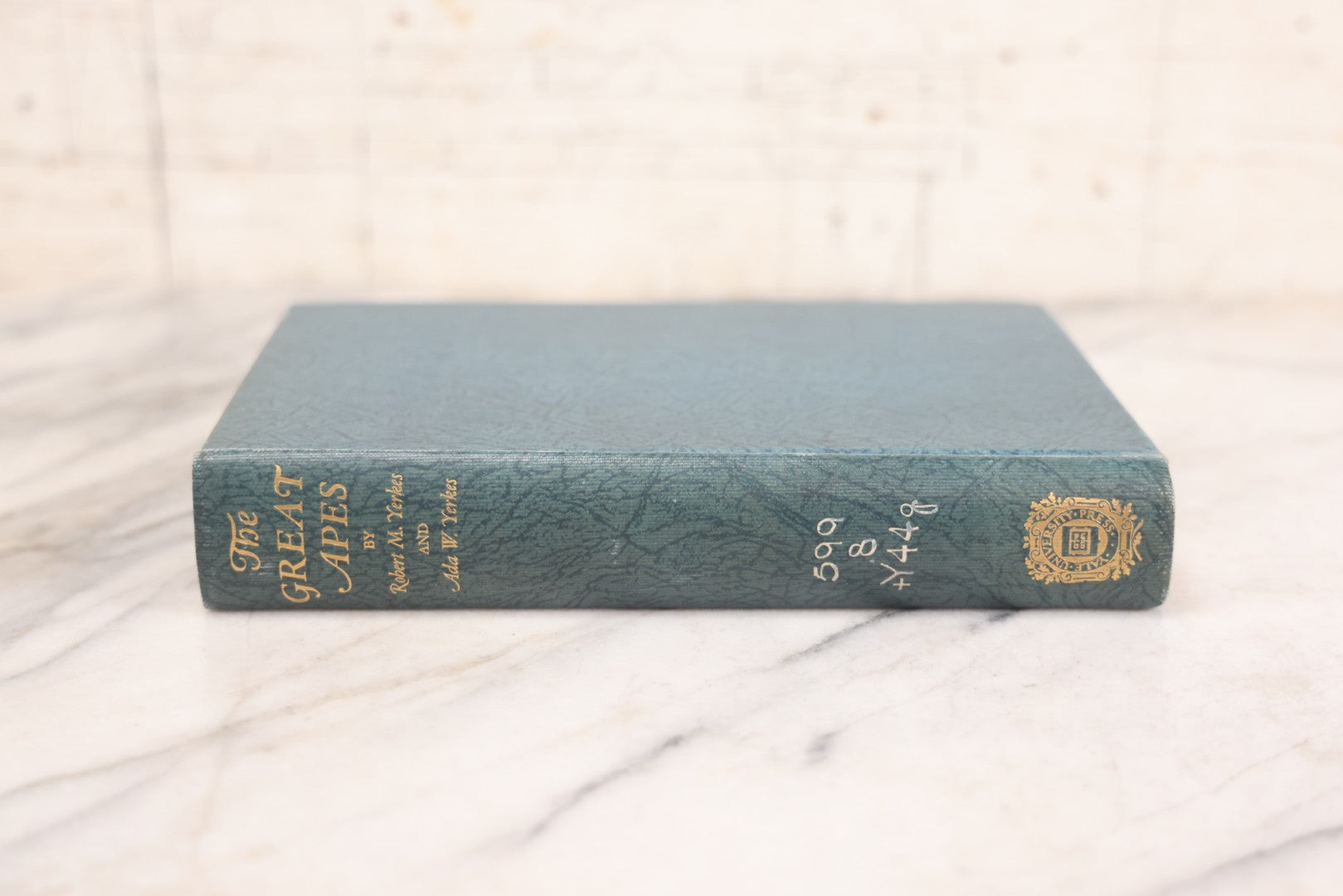 Lot 112 - "The Great Apes: A Study Of Anthropoid Life" Antique Psychobiology Book By Robert M. Yerkes And Ada W. Yerkes With 172 Illustrations, Ex-Library Copy, Published By Yale University Press, New Haven, 1929