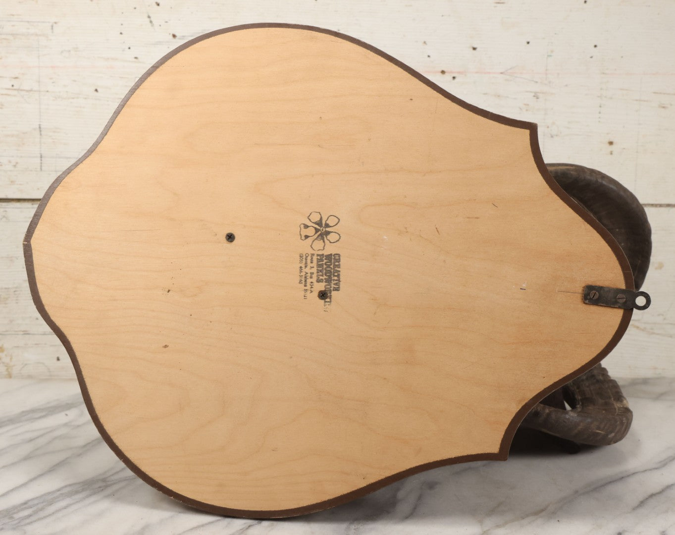 Lot 001 - Vintage Black Sheep Shoulder Mount Taxidermy With Brown And Black Wool, Circa 1980s