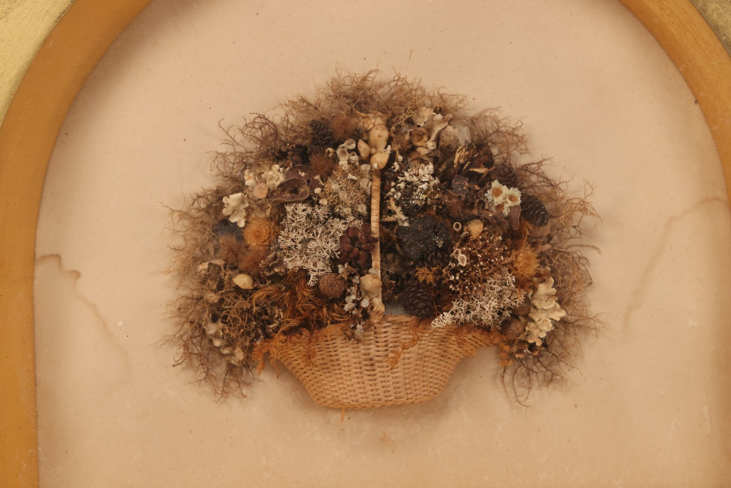 Lot 002 - Antique Seawood Flower Shadow Box With Seaweed Fashioned Into Flower Basket, In Gilded Frame, Circa 1900, 14-1/8" x 12-3/4"