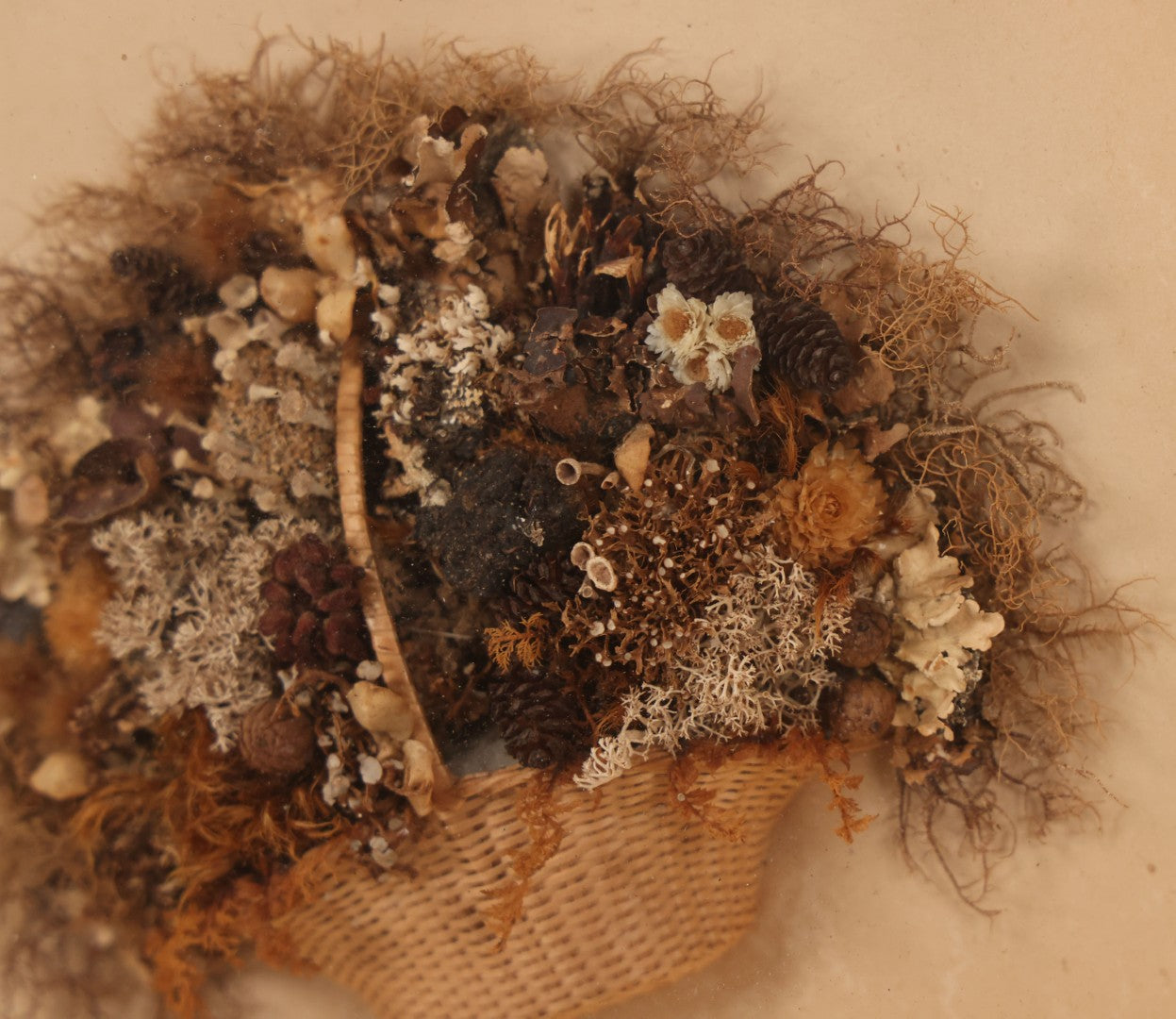 Lot 002 - Antique Seawood Flower Shadow Box With Seaweed Fashioned Into Flower Basket, In Gilded Frame, Circa 1900, 14-1/8" x 12-3/4"