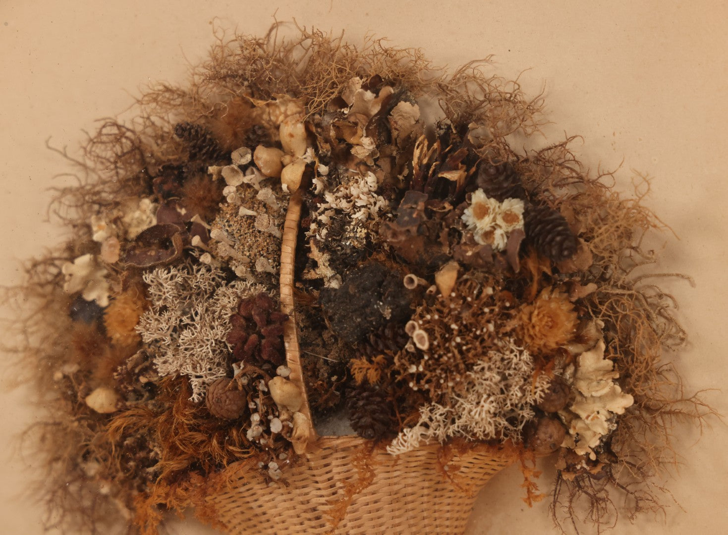 Lot 002 - Antique Seawood Flower Shadow Box With Seaweed Fashioned Into Flower Basket, In Gilded Frame, Circa 1900, 14-1/8" x 12-3/4"