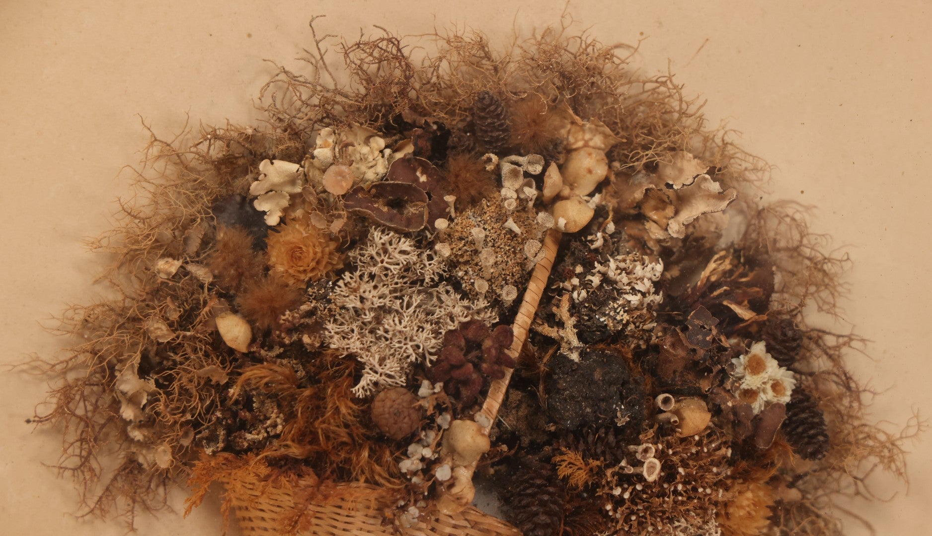 Lot 002 - Antique Seawood Flower Shadow Box With Seaweed Fashioned Into Flower Basket, In Gilded Frame, Circa 1900, 14-1/8" x 12-3/4"