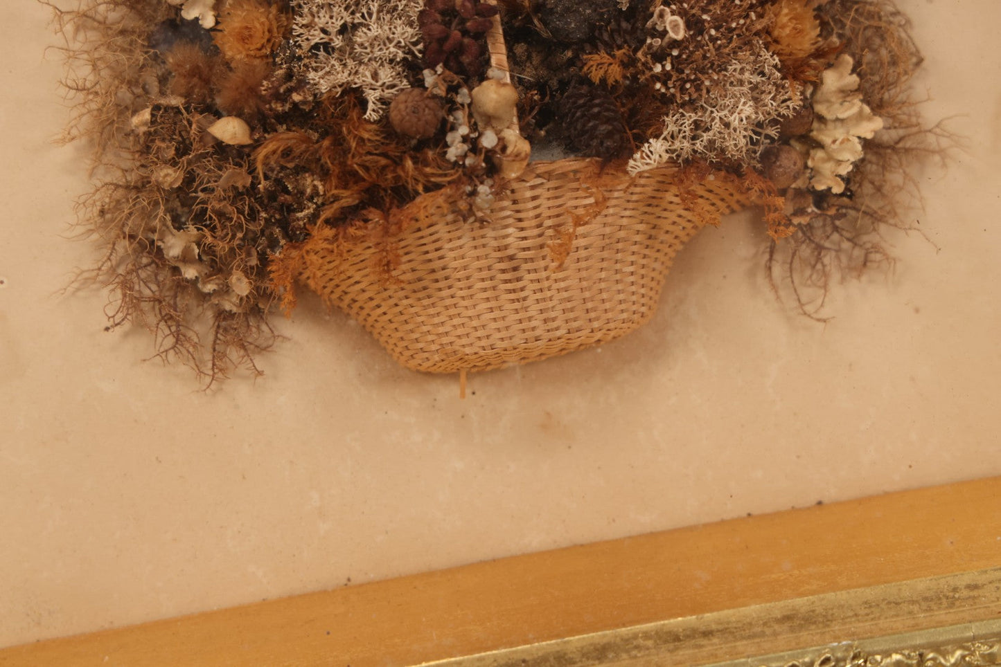 Lot 002 - Antique Seawood Flower Shadow Box With Seaweed Fashioned Into Flower Basket, In Gilded Frame, Circa 1900, 14-1/8" x 12-3/4"