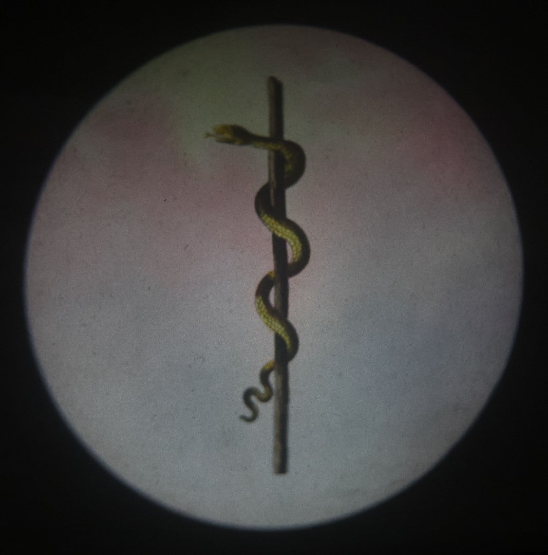 Lot 028 - Antique Hand Colored Odd Fellows I.O.O.F. Magic Lantern Glass Slide With Wood Holder, No. 12 The Serpent, Manufactured By The Henderson-Ames Co., Kalamazoo, Michigan