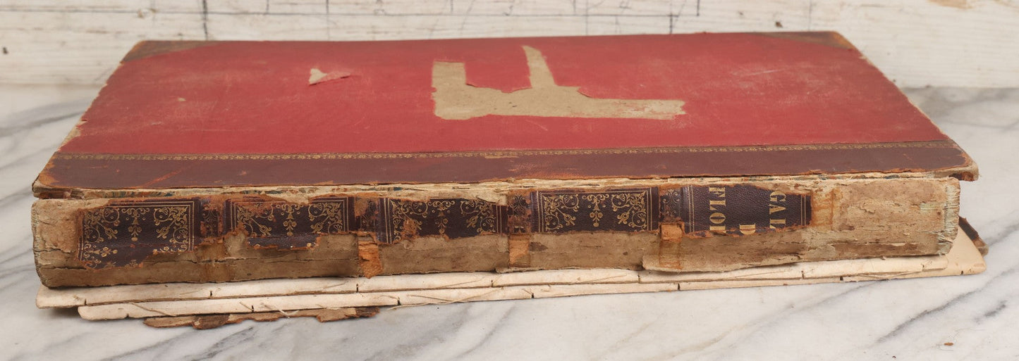 Lot 043 - Antique Oversized Art Book “Tableaux, Statues, Bas-Reliefs Et Camées De La Galerie De Florence Et Du Palais Pitti” (Paintings, Statues, Bas-Reliefs And Cameos From The Gallery Of Florence And The Pitti Palace), Published By Lacombe, Paris, 1789