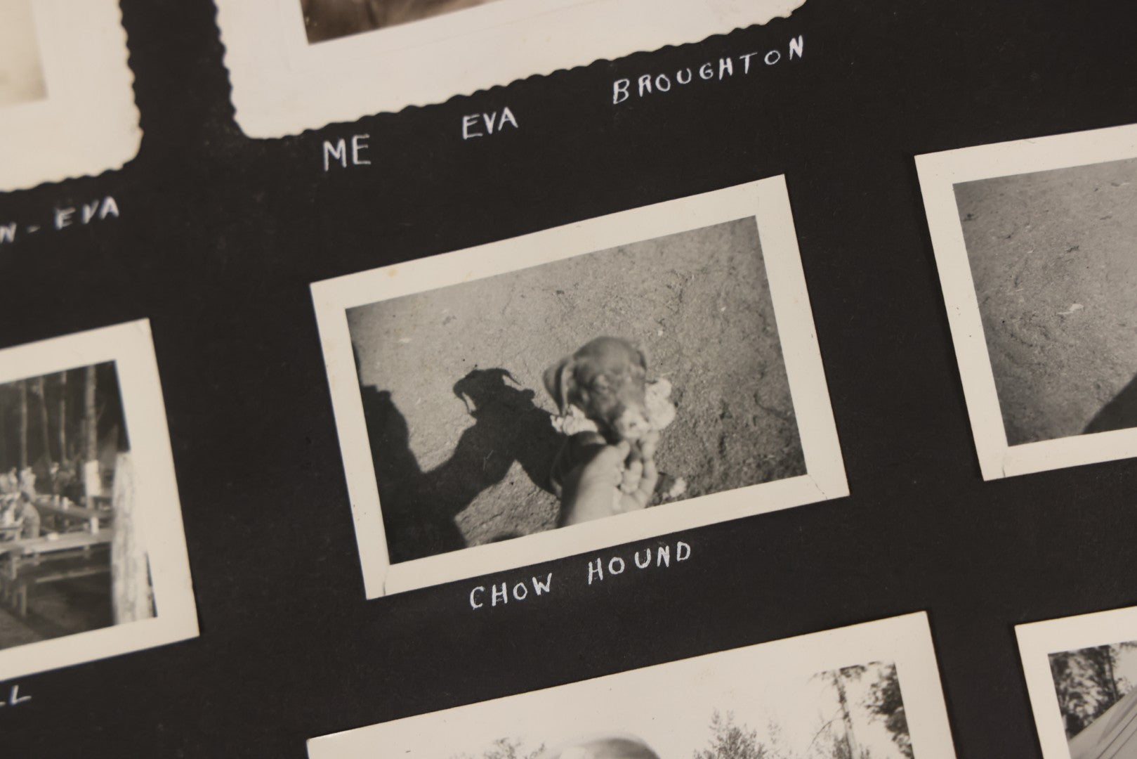 Lot 046 - Pair Of Vintage Snapshot Photo Albums Containing 600+ Photos Of Army National Guard Training & Life In The Lead Up To World War Two, 1938–1942, Albums Of Sgt. D.L. Dressler, With Notes Referencing Dec. 7, 1941 Pearl Harbor, Many Domestic Bases