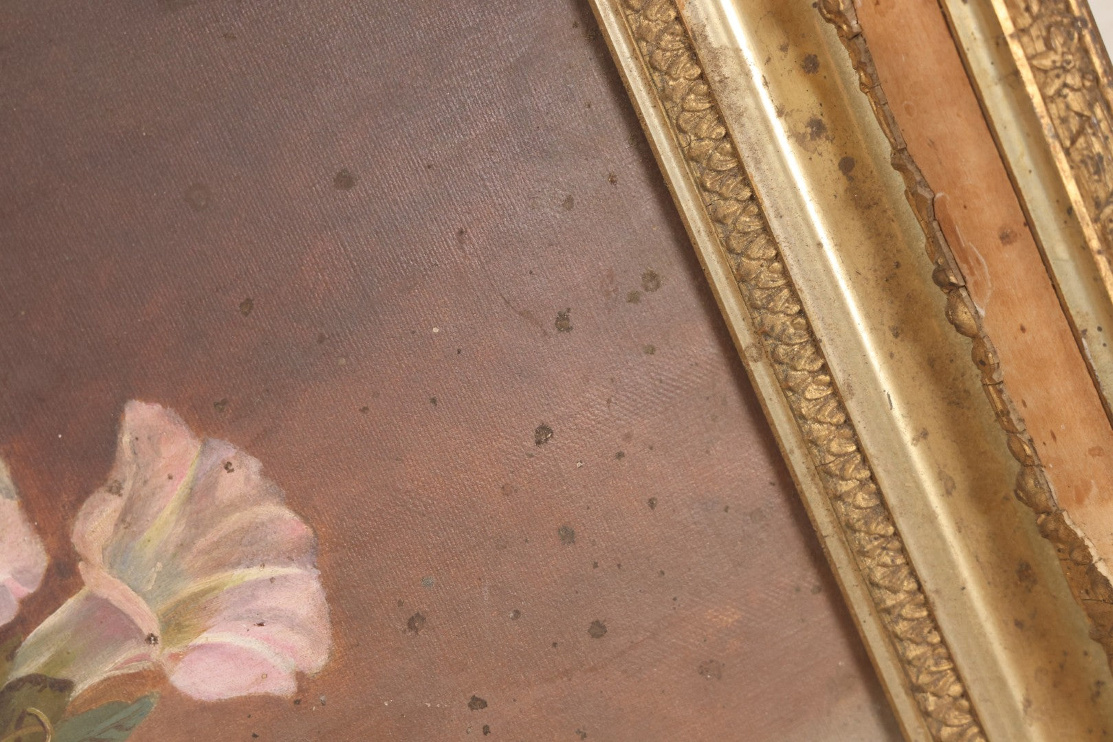 Lot 047 - Antique Still Life Oil On Canvas Painting Of Morning Glories In Gilt Gesso Frame, Late 19th Century, 23-5/8" x 17-3/4"