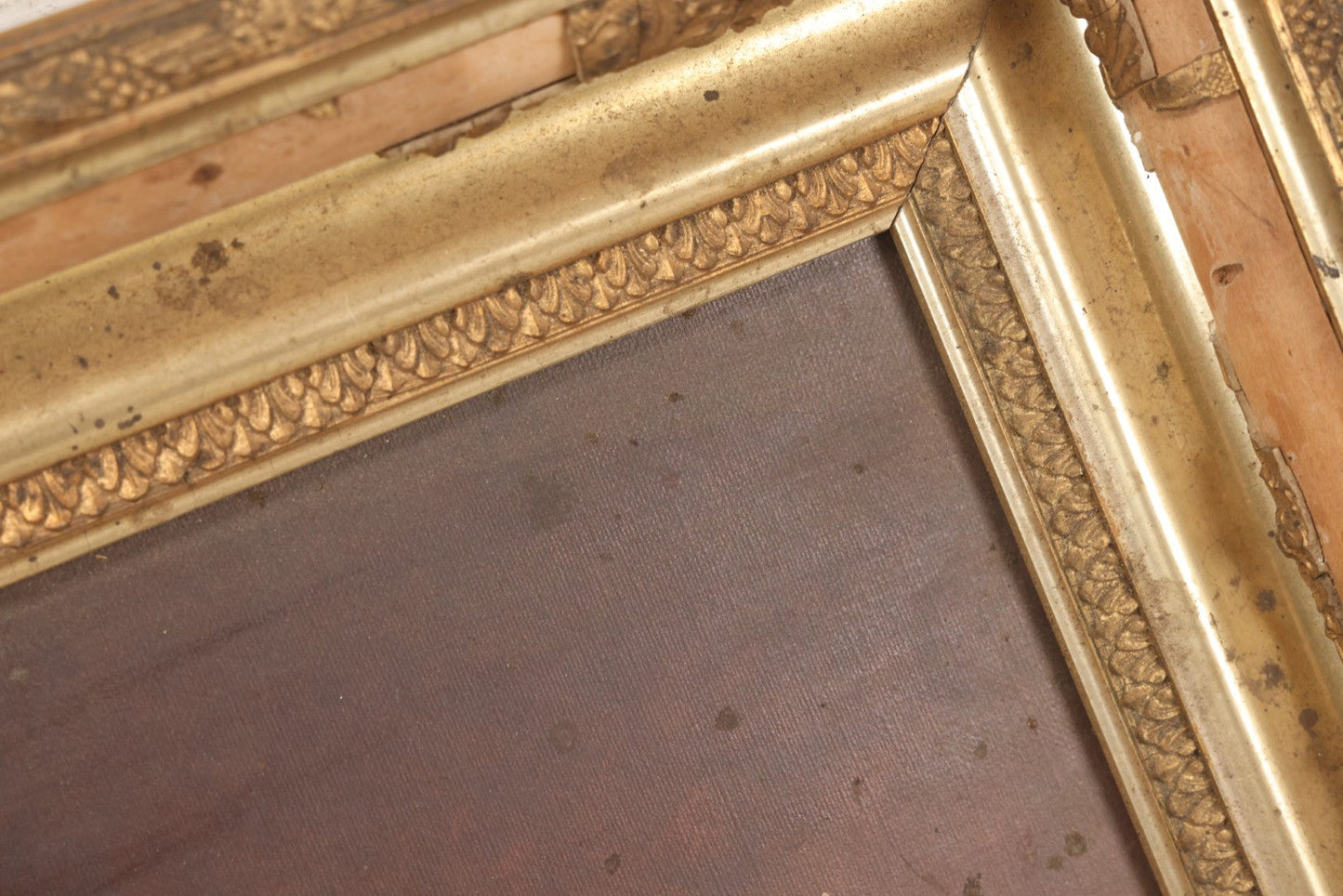 Lot 047 - Antique Still Life Oil On Canvas Painting Of Morning Glories In Gilt Gesso Frame, Late 19th Century, 23-5/8" x 17-3/4"