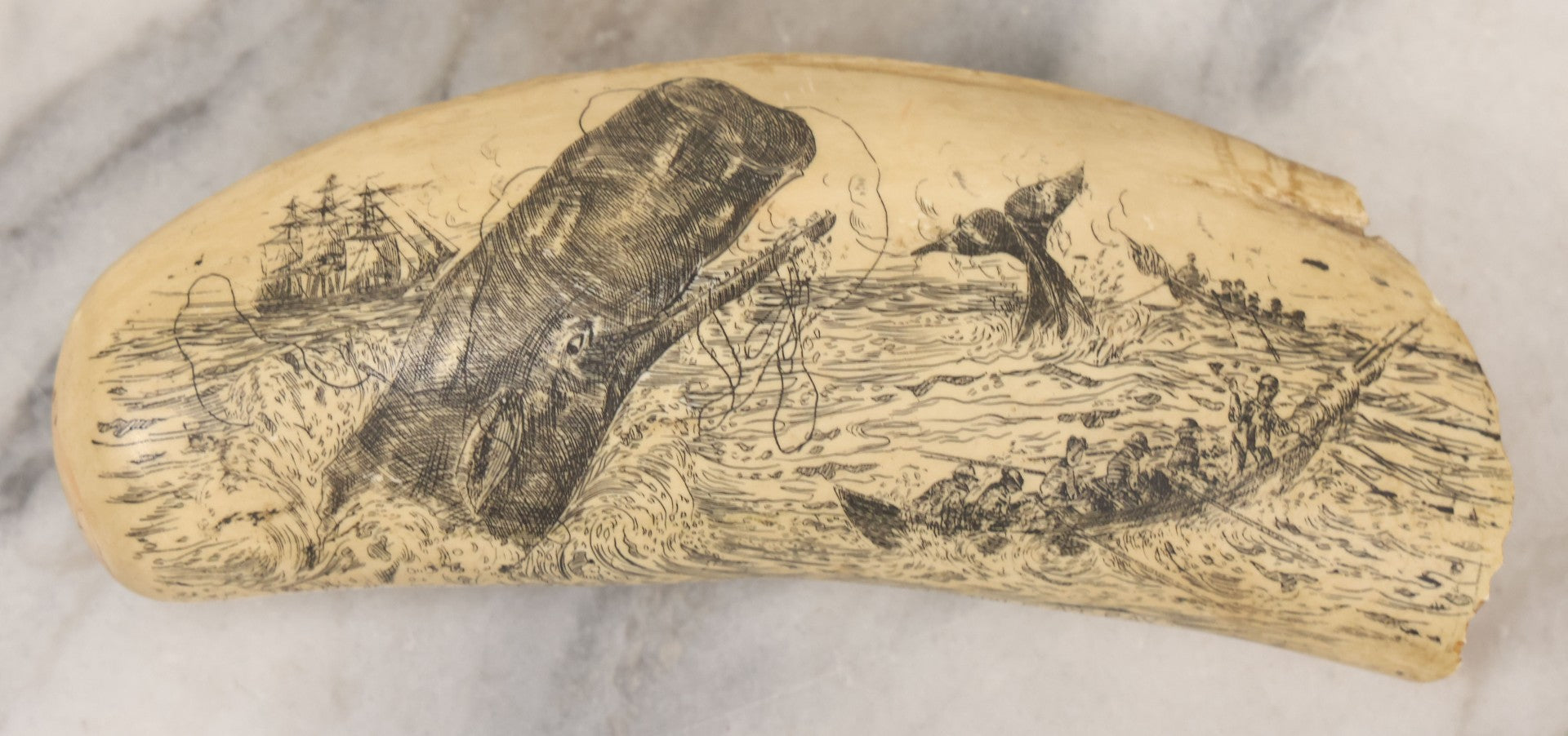 Lot 067 - Vintage Faux Scrimshaw Whale's Tooth With Nautical Whaling Scene, “Sperm Whale At Bay,” Souvenir Of The Nantucket Whaling Museum, Artek Reproduction, *Not Real*