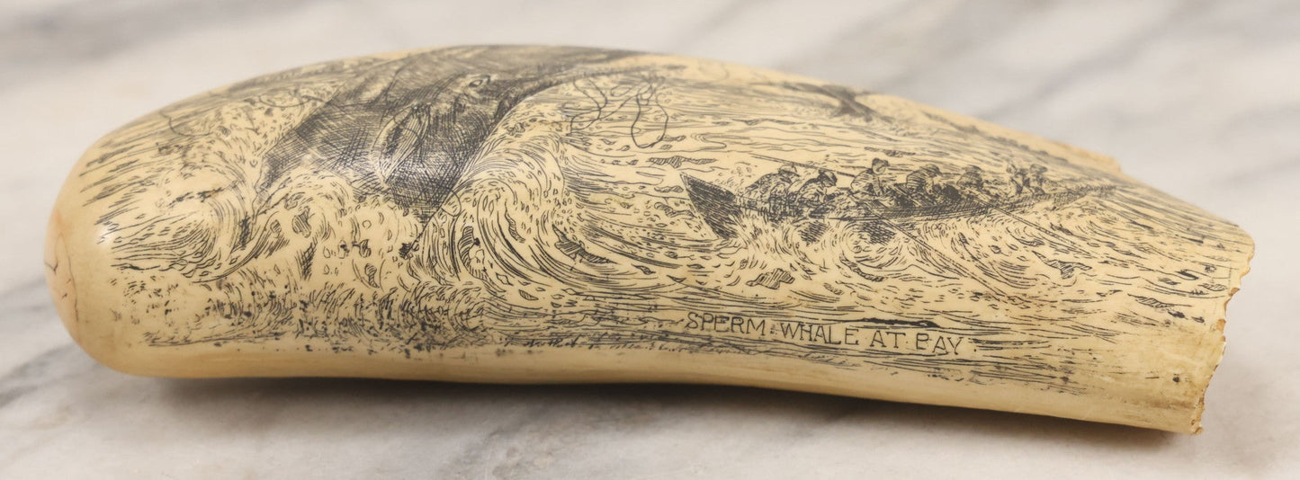 Lot 067 - Vintage Faux Scrimshaw Whale's Tooth With Nautical Whaling Scene, “Sperm Whale At Bay,” Souvenir Of The Nantucket Whaling Museum, Artek Reproduction, *Not Real*