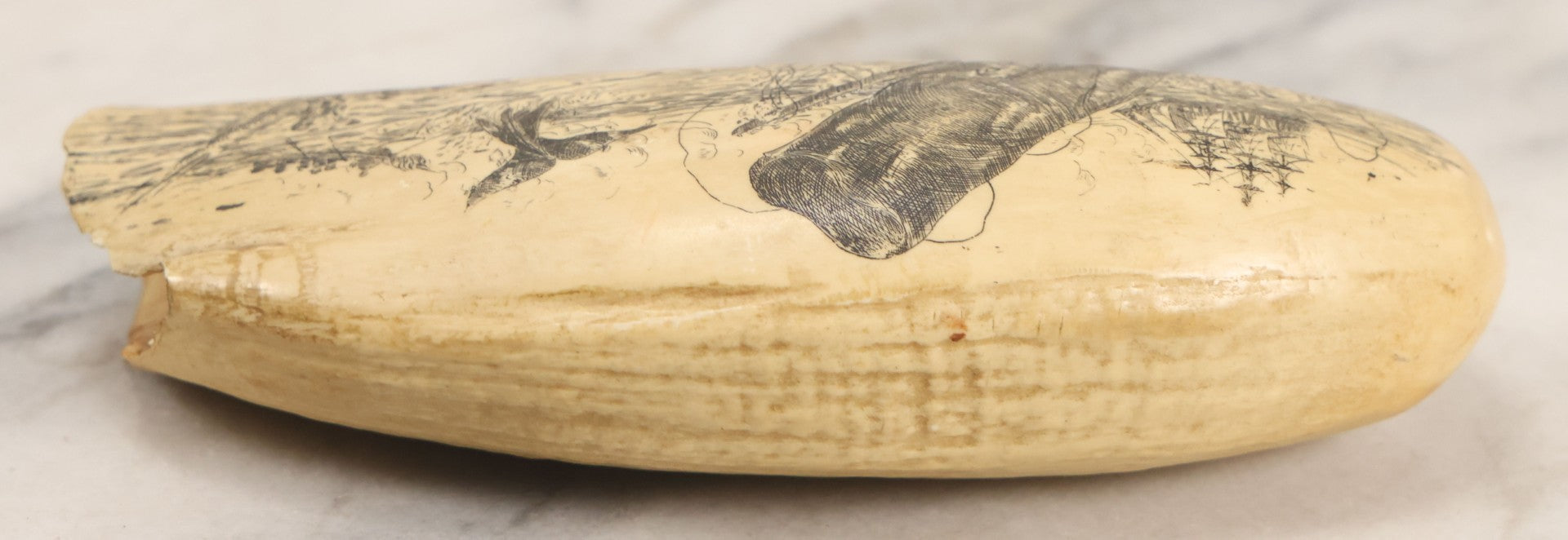 Lot 067 - Vintage Faux Scrimshaw Whale's Tooth With Nautical Whaling Scene, “Sperm Whale At Bay,” Souvenir Of The Nantucket Whaling Museum, Artek Reproduction, *Not Real*