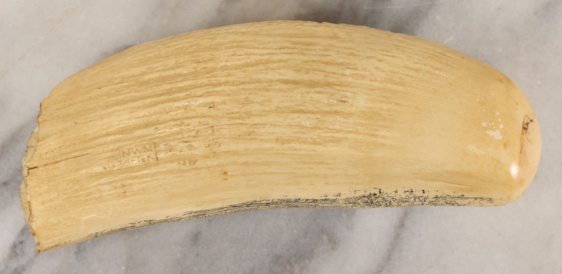 Lot 067 - Vintage Faux Scrimshaw Whale's Tooth With Nautical Whaling Scene, “Sperm Whale At Bay,” Souvenir Of The Nantucket Whaling Museum, Artek Reproduction, *Not Real*