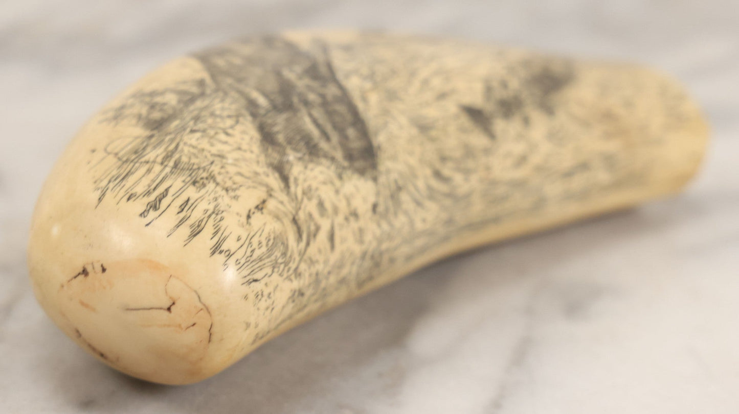 Lot 067 - Vintage Faux Scrimshaw Whale's Tooth With Nautical Whaling Scene, “Sperm Whale At Bay,” Souvenir Of The Nantucket Whaling Museum, Artek Reproduction, *Not Real*