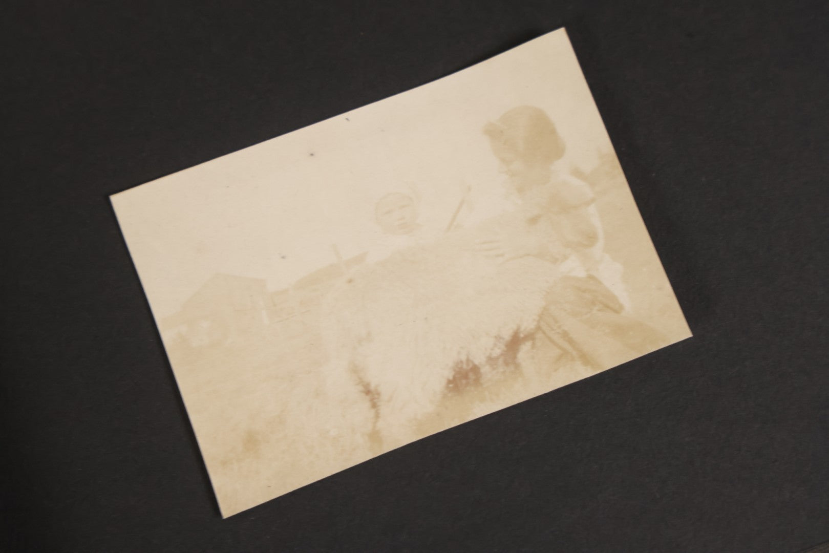 Lot 129 - Grouping Of Four Antique & Vintage Snapshot Photo Albums With One Boarded Photograph Of Child On Pony, Including Agricultural, Coastal, Sailing, And Animal Views