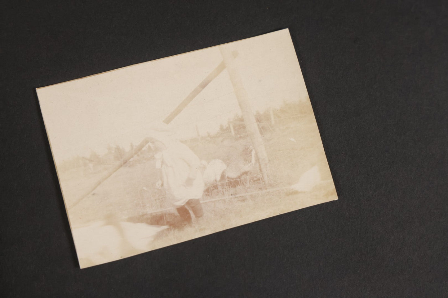 Lot 129 - Grouping Of Four Antique & Vintage Snapshot Photo Albums With One Boarded Photograph Of Child On Pony, Including Agricultural, Coastal, Sailing, And Animal Views