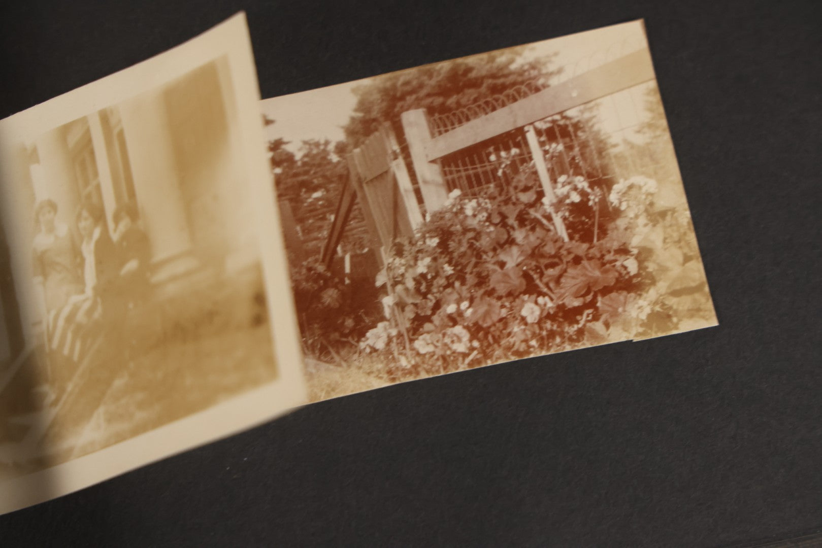 Lot 129 - Grouping Of Four Antique & Vintage Snapshot Photo Albums With One Boarded Photograph Of Child On Pony, Including Agricultural, Coastal, Sailing, And Animal Views