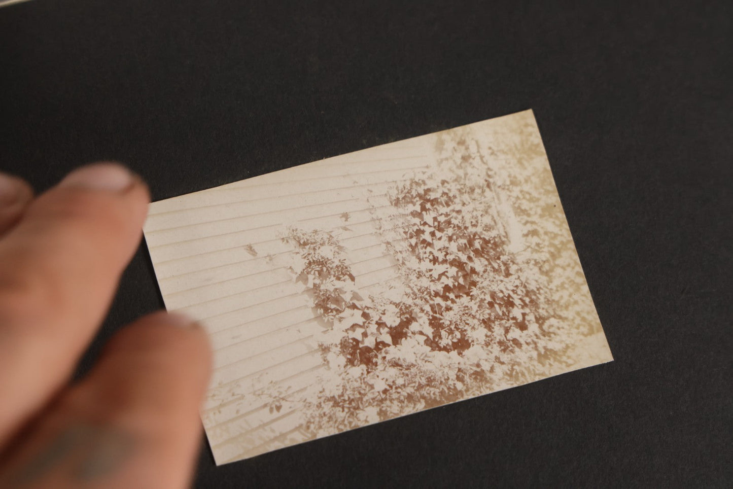 Lot 129 - Grouping Of Four Antique & Vintage Snapshot Photo Albums With One Boarded Photograph Of Child On Pony, Including Agricultural, Coastal, Sailing, And Animal Views