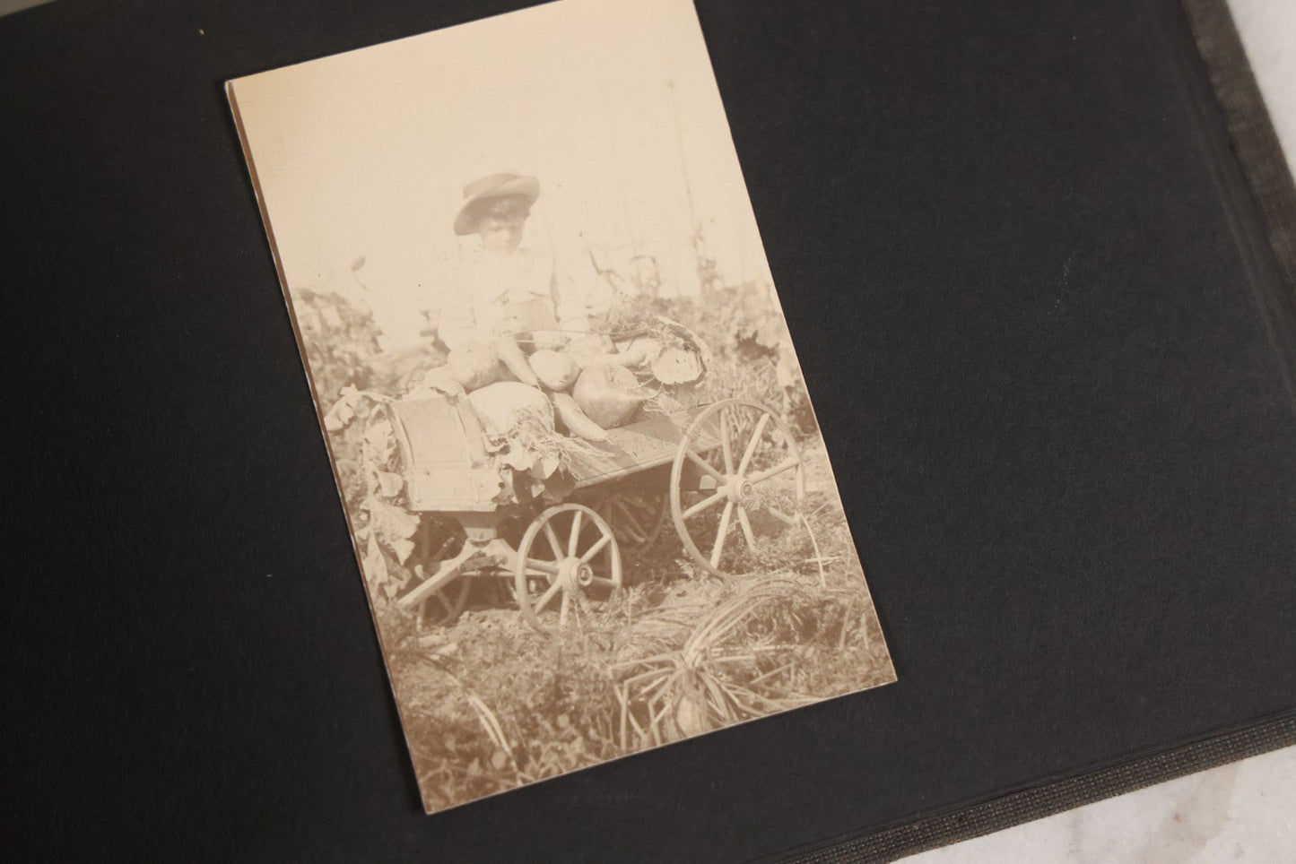 Lot 129 - Grouping Of Four Antique & Vintage Snapshot Photo Albums With One Boarded Photograph Of Child On Pony, Including Agricultural, Coastal, Sailing, And Animal Views