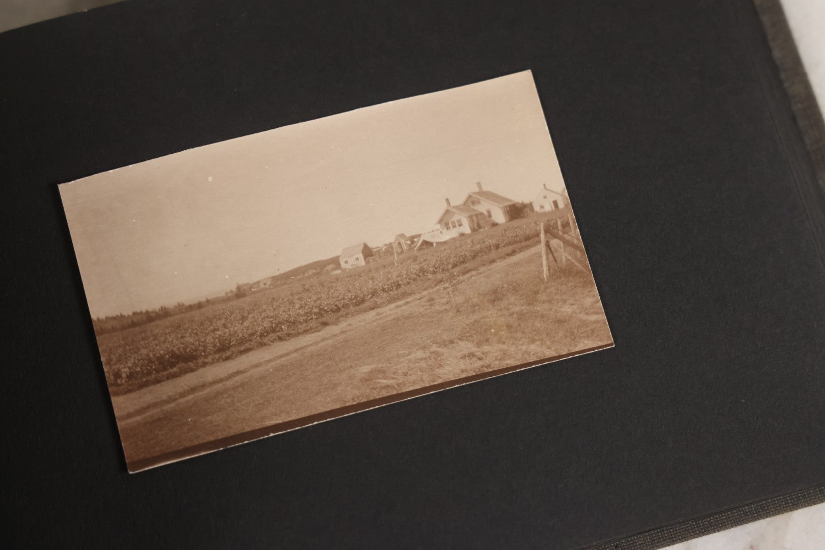 Lot 129 - Grouping Of Four Antique & Vintage Snapshot Photo Albums With One Boarded Photograph Of Child On Pony, Including Agricultural, Coastal, Sailing, And Animal Views