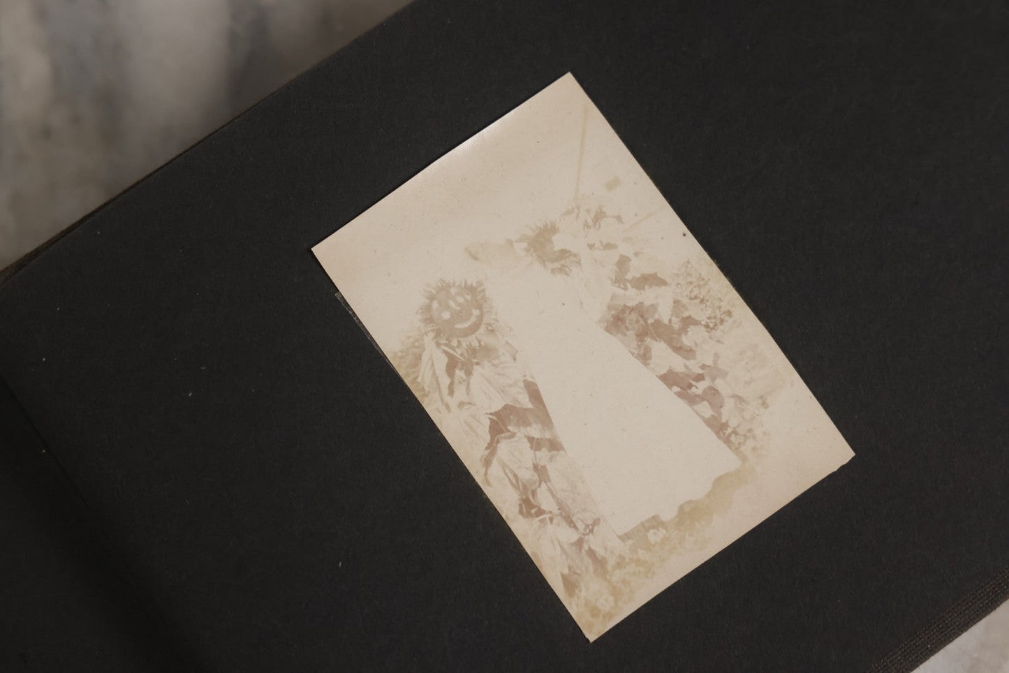 Lot 129 - Grouping Of Four Antique & Vintage Snapshot Photo Albums With One Boarded Photograph Of Child On Pony, Including Agricultural, Coastal, Sailing, And Animal Views