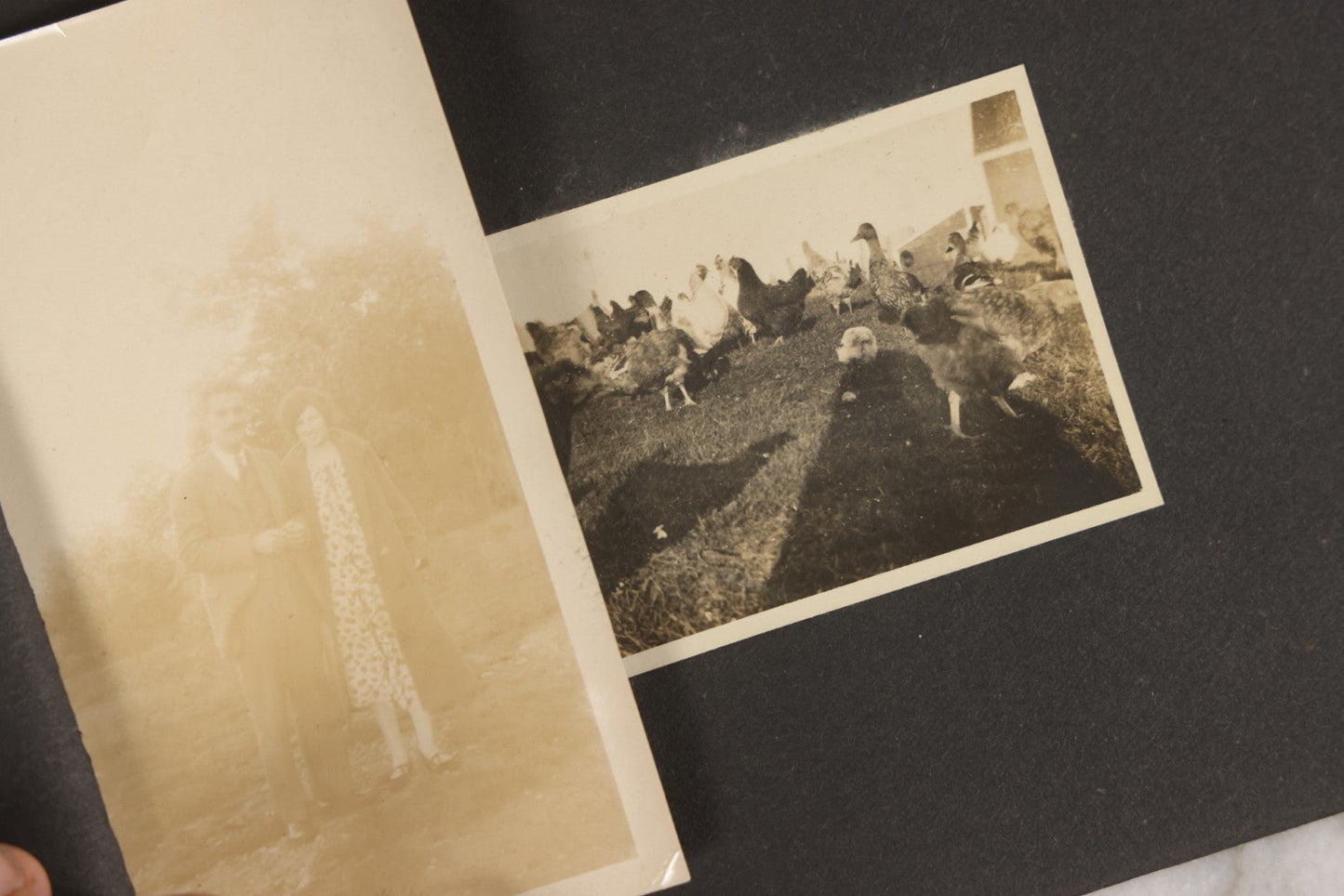 Lot 129 - Grouping Of Four Antique & Vintage Snapshot Photo Albums With One Boarded Photograph Of Child On Pony, Including Agricultural, Coastal, Sailing, And Animal Views