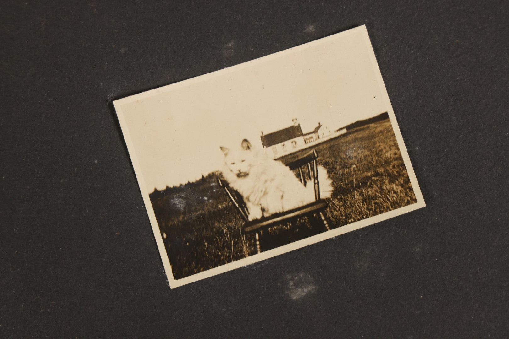 Lot 129 - Grouping Of Four Antique & Vintage Snapshot Photo Albums With One Boarded Photograph Of Child On Pony, Including Agricultural, Coastal, Sailing, And Animal Views