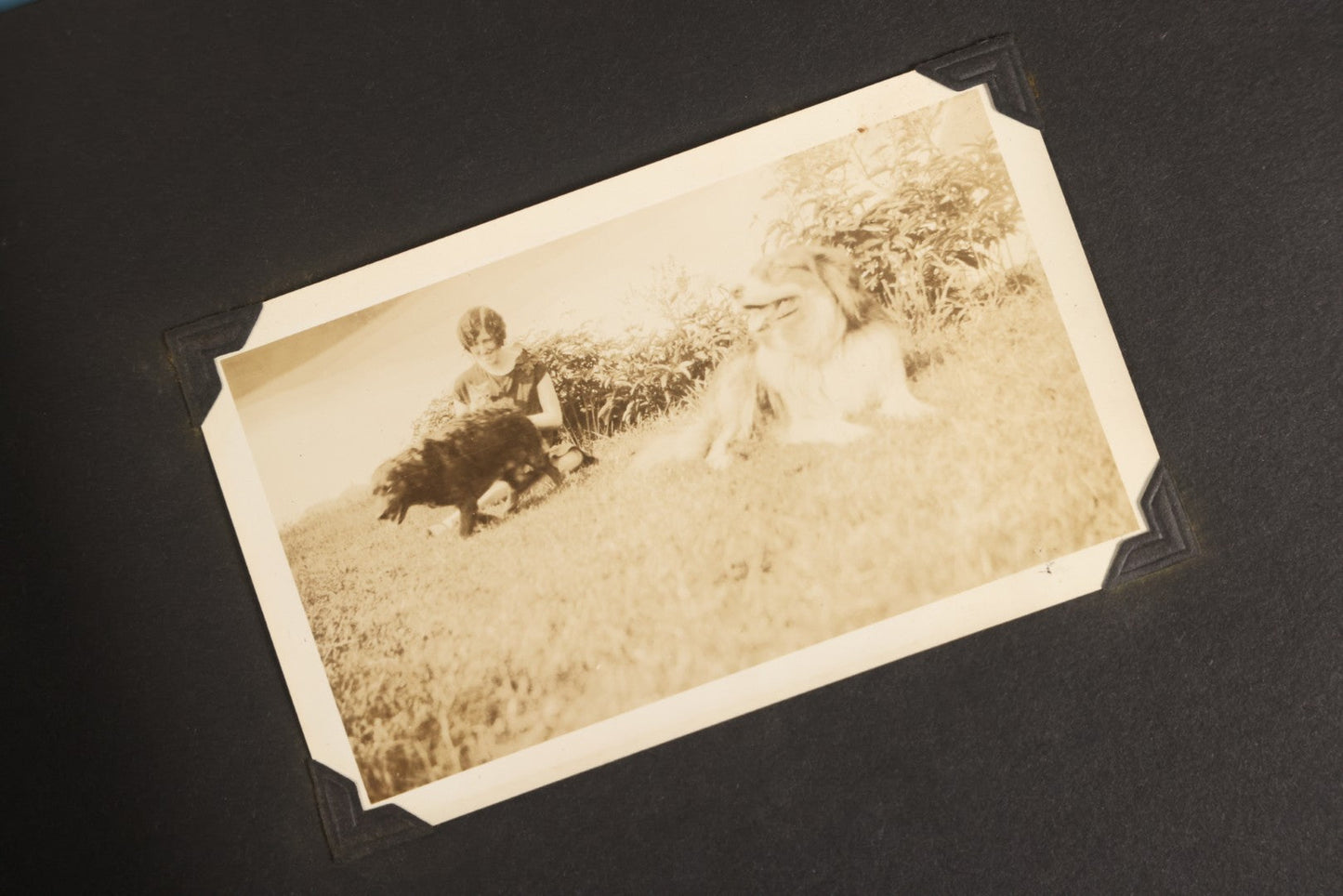 Lot 129 - Grouping Of Four Antique & Vintage Snapshot Photo Albums With One Boarded Photograph Of Child On Pony, Including Agricultural, Coastal, Sailing, And Animal Views