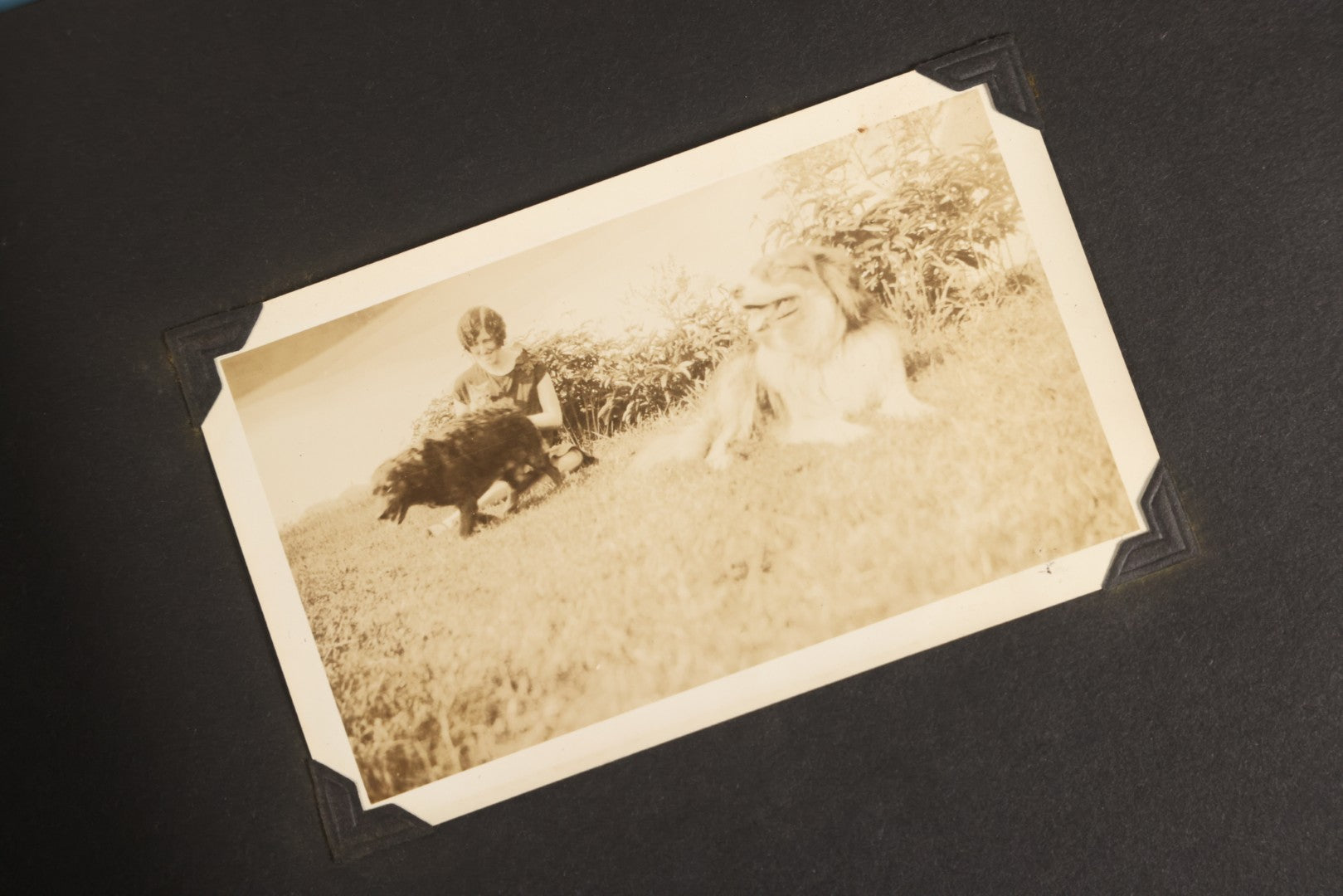 Lot 129 - Grouping Of Four Antique & Vintage Snapshot Photo Albums With One Boarded Photograph Of Child On Pony, Including Agricultural, Coastal, Sailing, And Animal Views