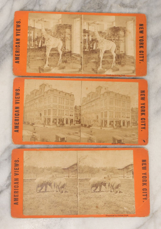 Lot 138 - Grouping Of Three Antique New York City Stereoview 3D Photograph Cards Including Booth's Theatre, Giraffe In Central Park, And Elephants In Central Park