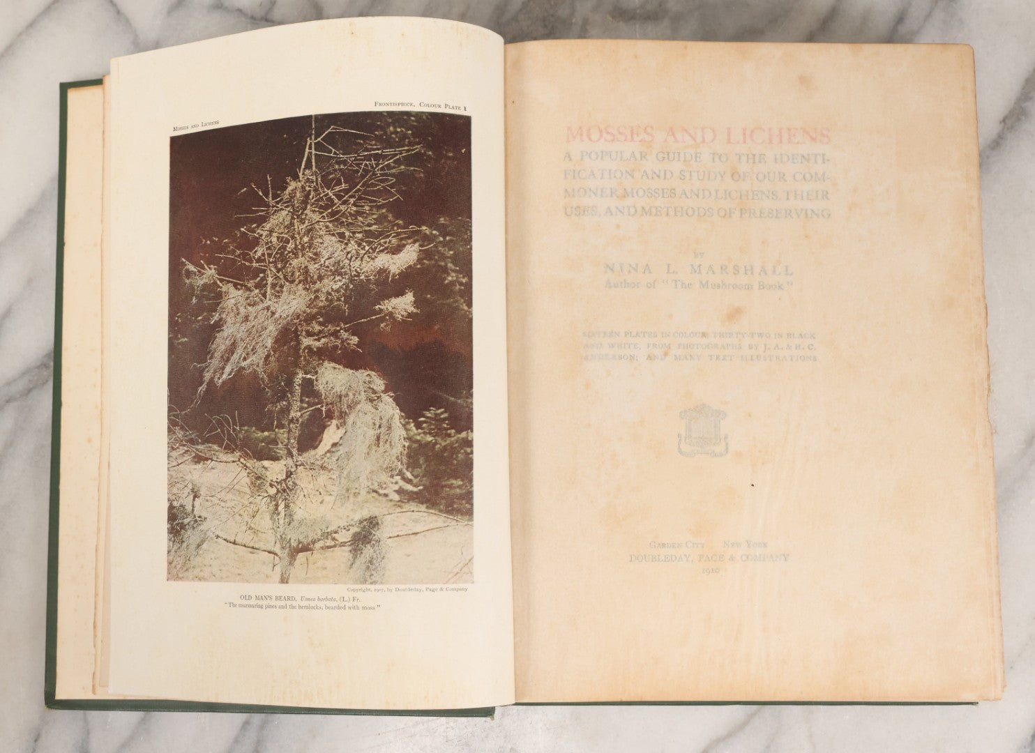 Lot 141 - "Mosses And Lichens" Antique Nature Book By Nina L. Marshall, With Sixteen Plates In Color And Thirty-Two In Black And White From Photographs By J.A. & H.C. Anderson, Doubleday, Published By Page & Company, Garden City, New York, 1910