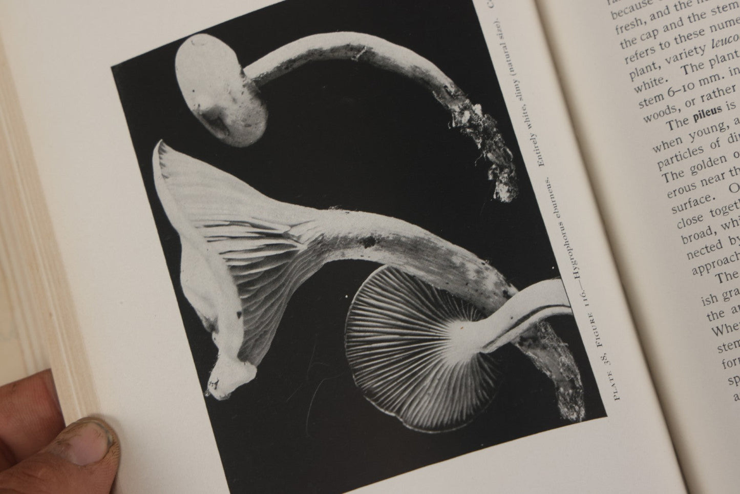 Lot 142 - "Mushrooms: Edible, Poisonous, Etc." Antique Mycology Book By George Francis Atkinson, With 250 Photographs By The Author, Including Recipes For And Toxicology, Third Edition, Published By Henry Holt And Company, New York, 1911