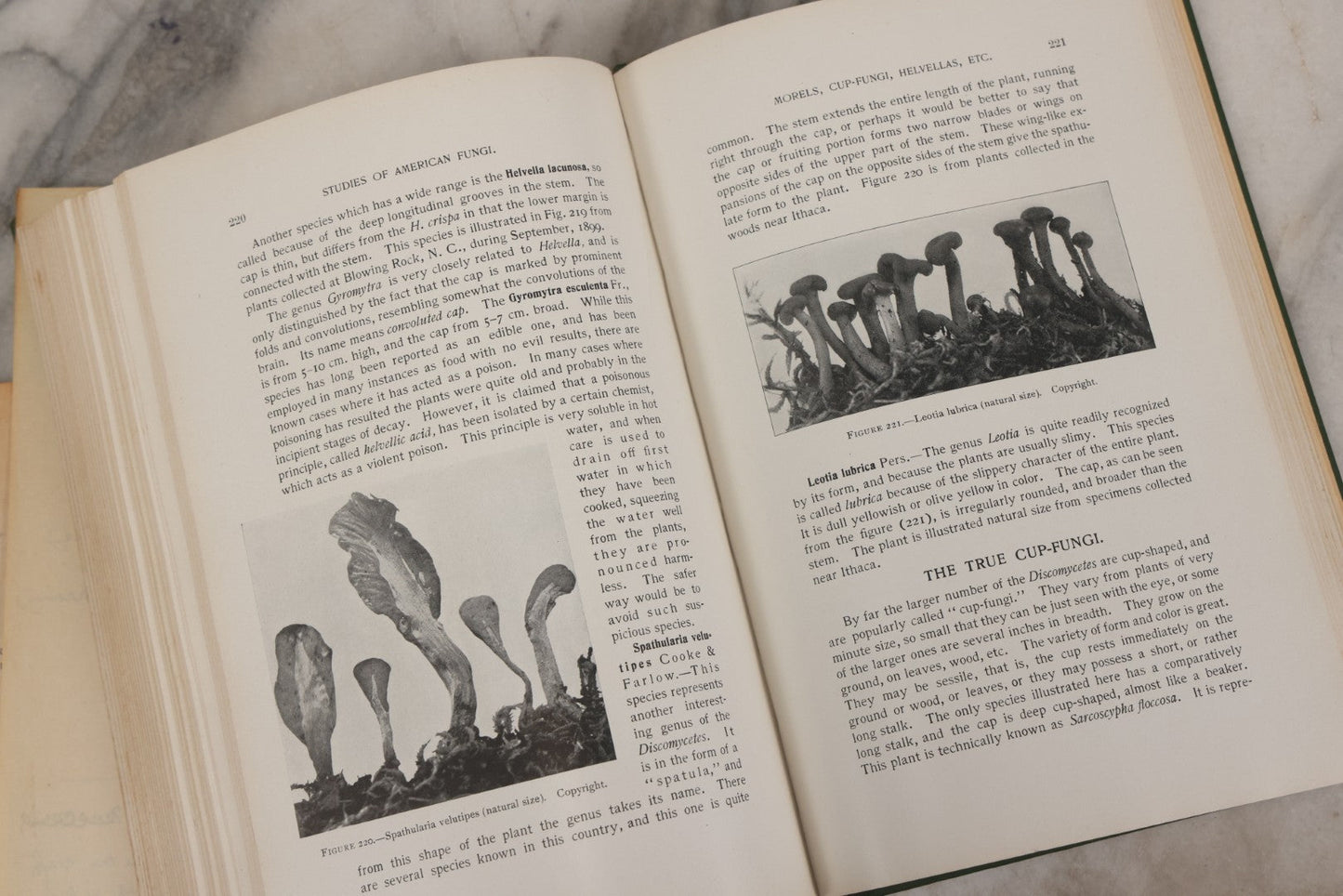 Lot 142 - "Mushrooms: Edible, Poisonous, Etc." Antique Mycology Book By George Francis Atkinson, With 250 Photographs By The Author, Including Recipes For And Toxicology, Third Edition, Published By Henry Holt And Company, New York, 1911