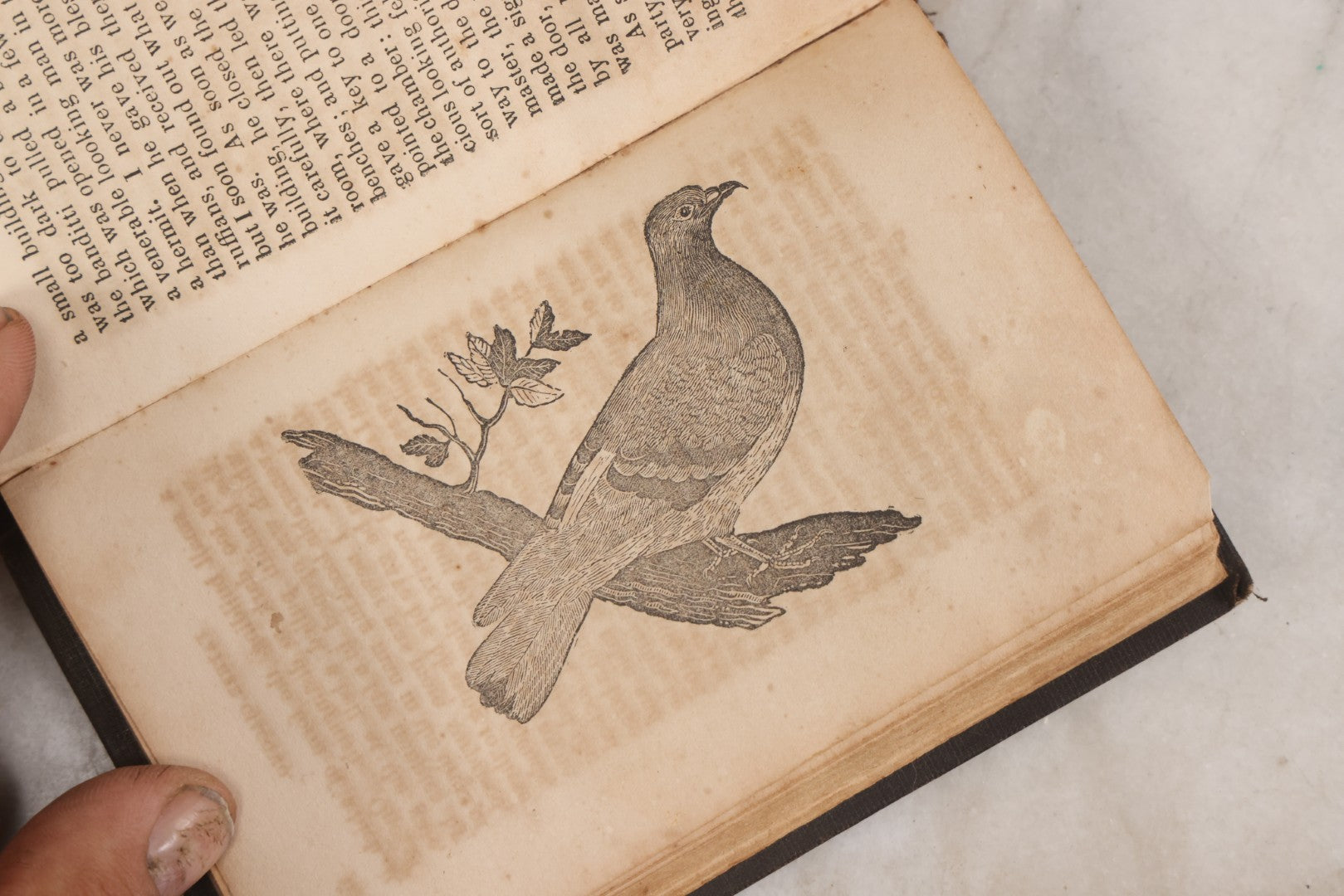 Lot 146 - "Stories By Old Daniel; The Village Story-Teller" Antique Children's Story Book, Illustrated With Woodcuts, Published By S. & C. Shepley, Fitchburg, 1847