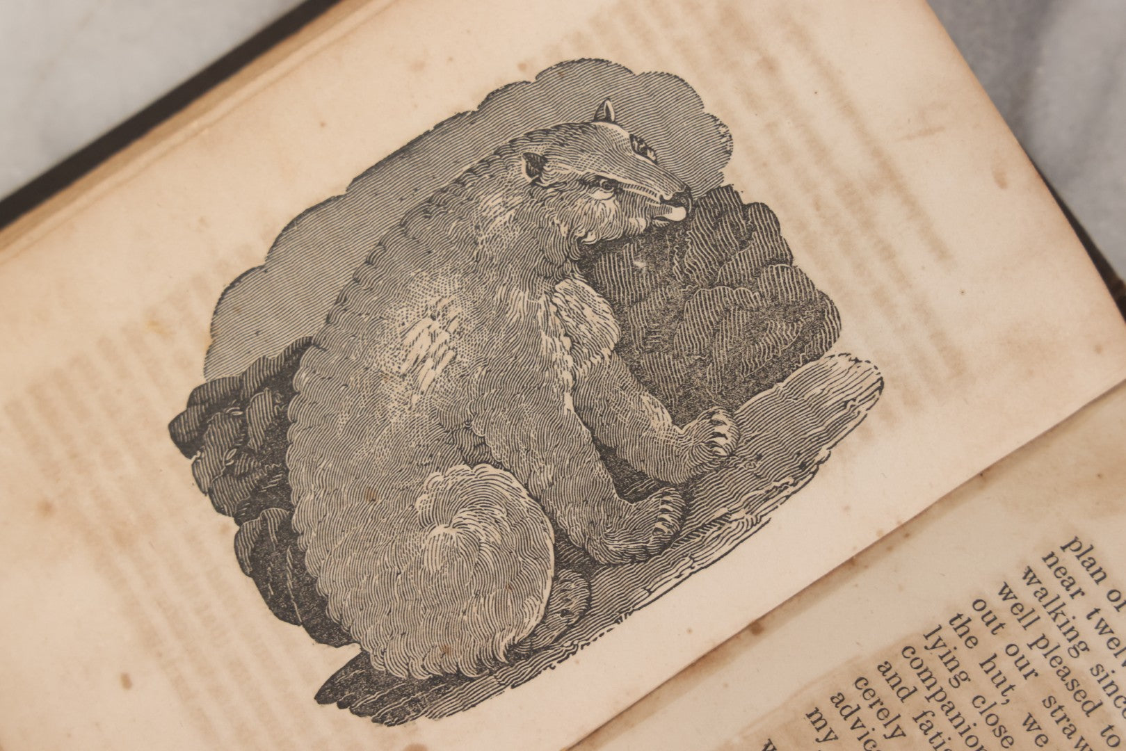 Lot 146 - "Stories By Old Daniel; The Village Story-Teller" Antique Children's Story Book, Illustrated With Woodcuts, Published By S. & C. Shepley, Fitchburg, 1847