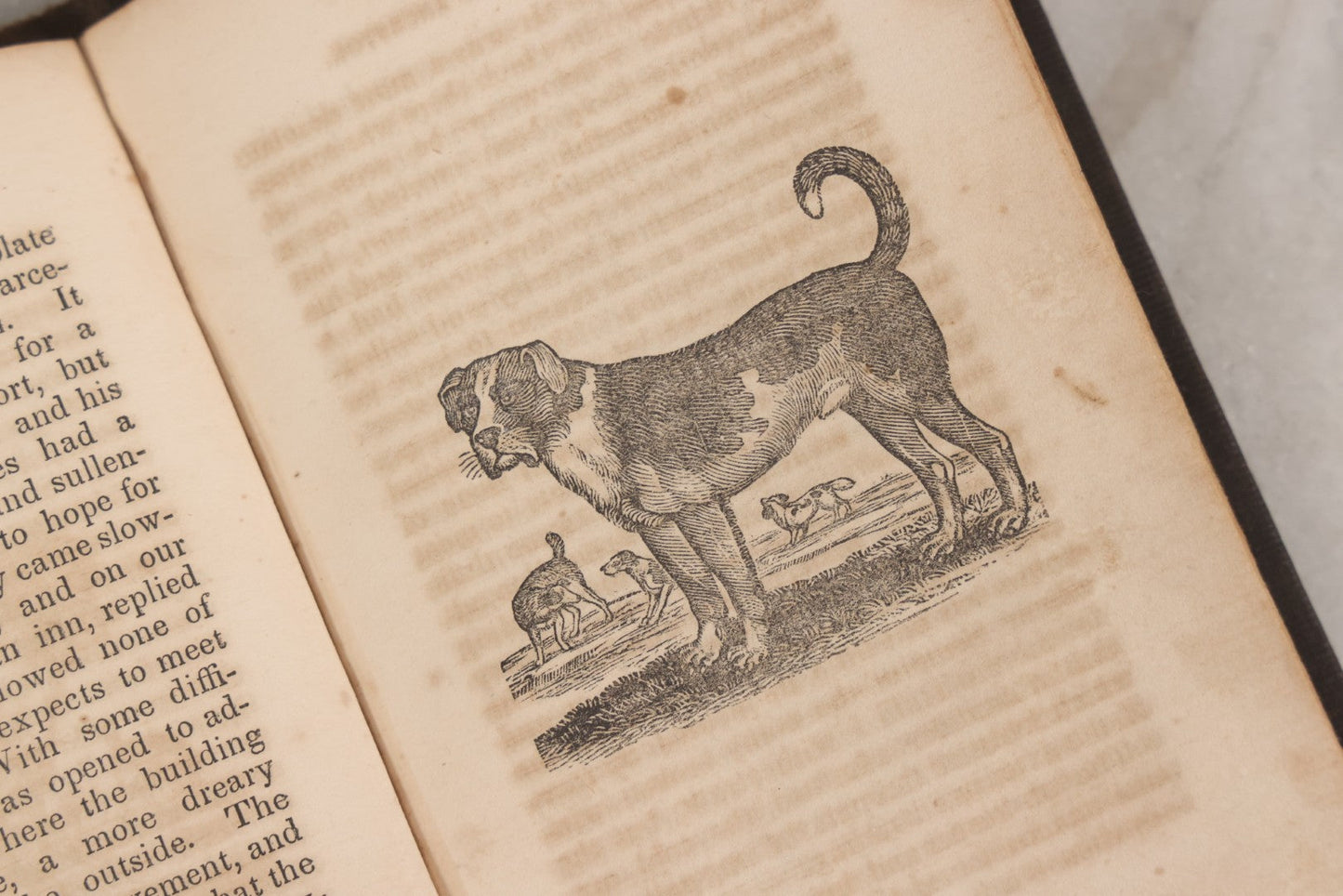 Lot 146 - "Stories By Old Daniel; The Village Story-Teller" Antique Children's Story Book, Illustrated With Woodcuts, Published By S. & C. Shepley, Fitchburg, 1847