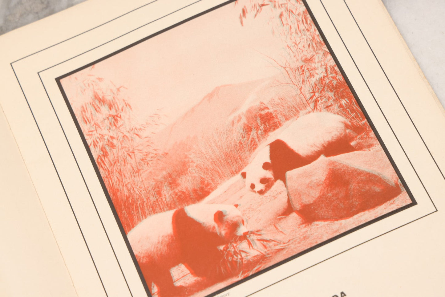 Lot 160 - "Strange Animal Stories" Antique Children's 3D Book With Ortho-Scope By Helen McKenna, Published By Dickery Company, Chicago, 1936