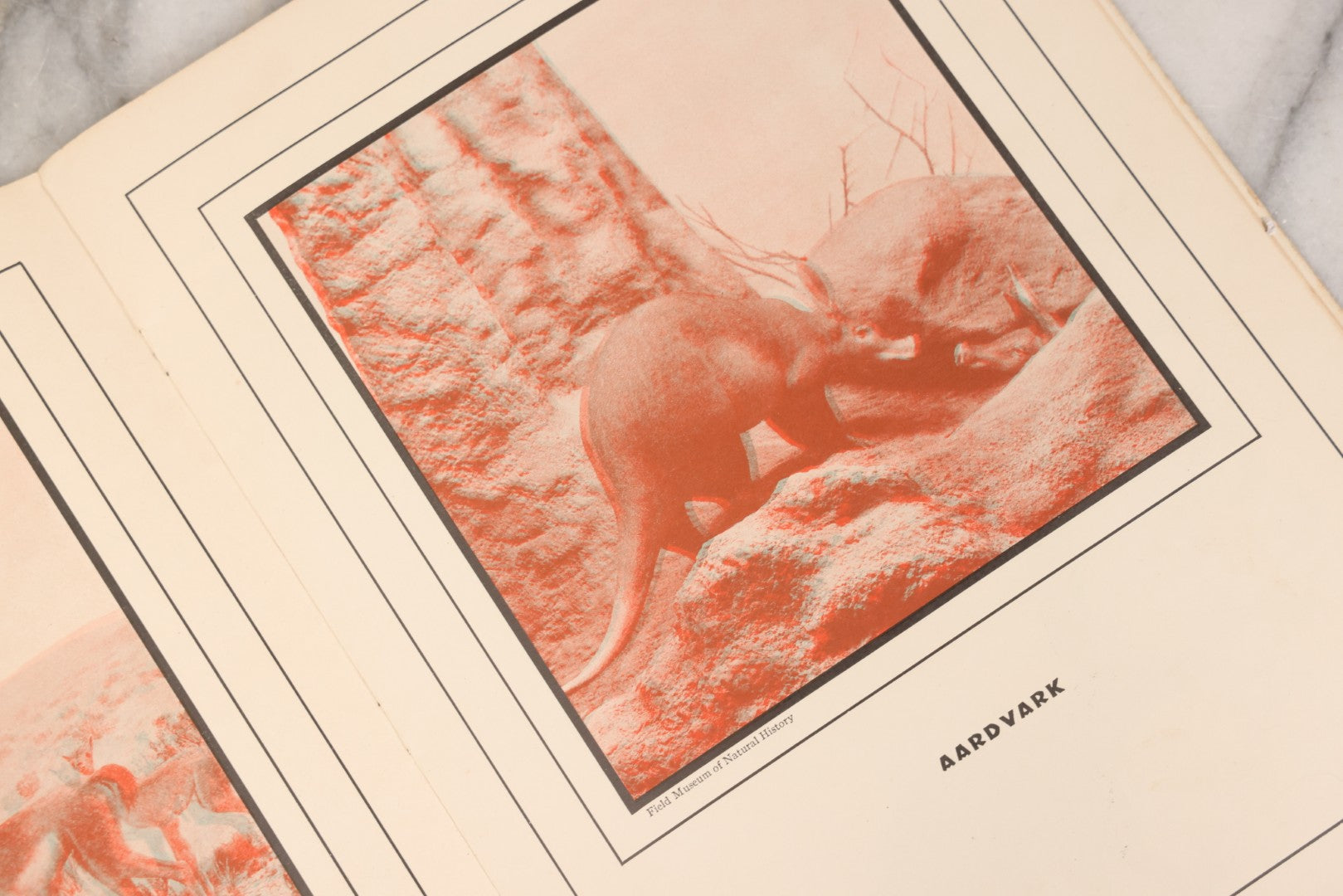 Lot 160 - "Strange Animal Stories" Antique Children's 3D Book With Ortho-Scope By Helen McKenna, Published By Dickery Company, Chicago, 1936