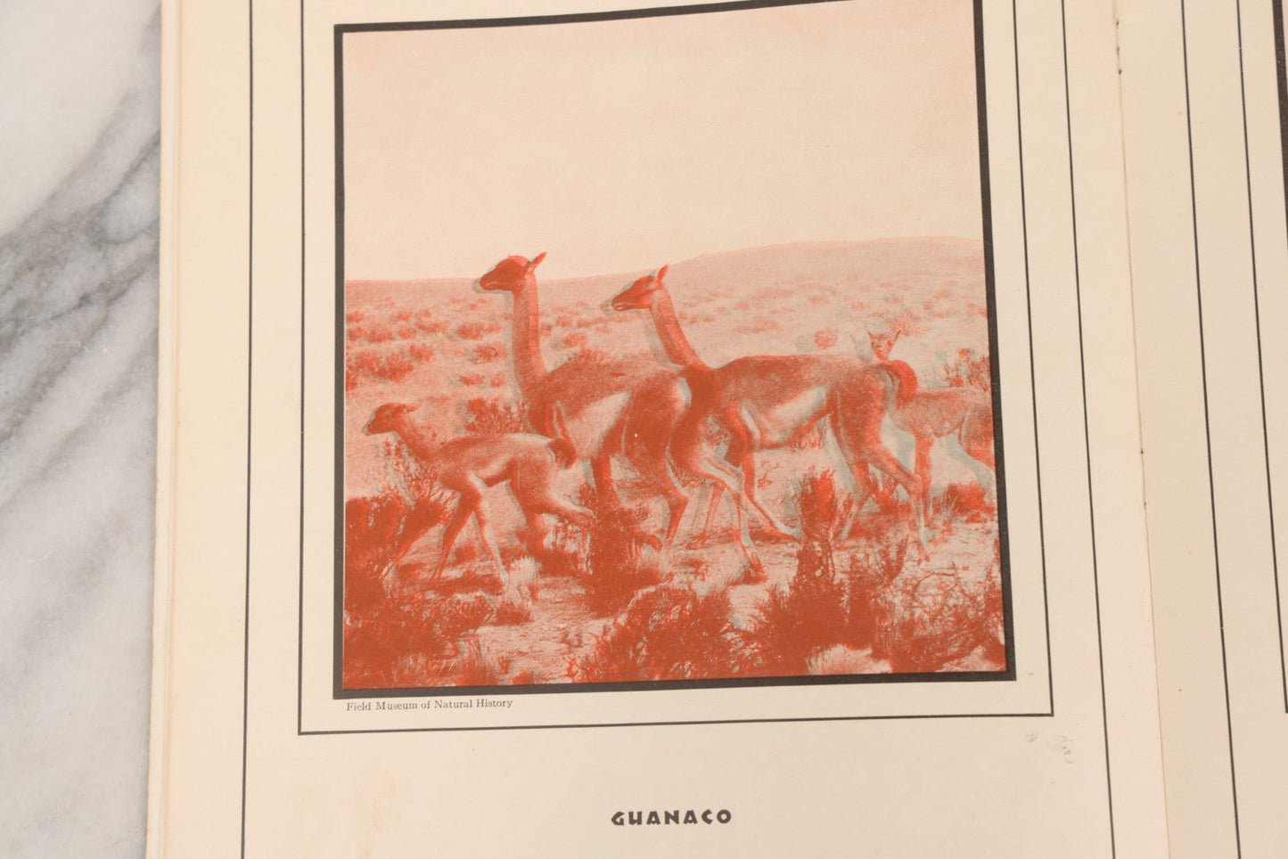 Lot 160 - "Strange Animal Stories" Antique Children's 3D Book With Ortho-Scope By Helen McKenna, Published By Dickery Company, Chicago, 1936