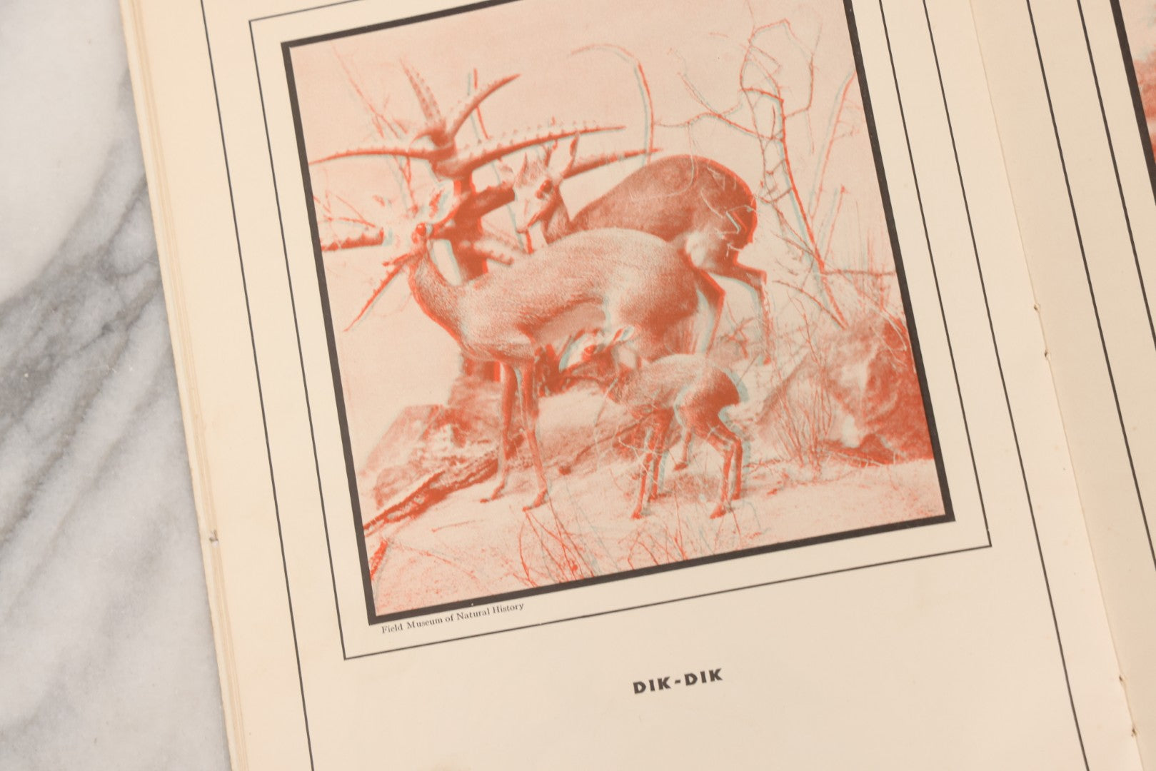 Lot 160 - "Strange Animal Stories" Antique Children's 3D Book With Ortho-Scope By Helen McKenna, Published By Dickery Company, Chicago, 1936