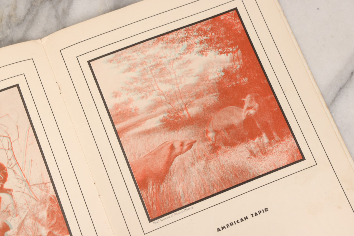 Lot 160 - "Strange Animal Stories" Antique Children's 3D Book With Ortho-Scope By Helen McKenna, Published By Dickery Company, Chicago, 1936