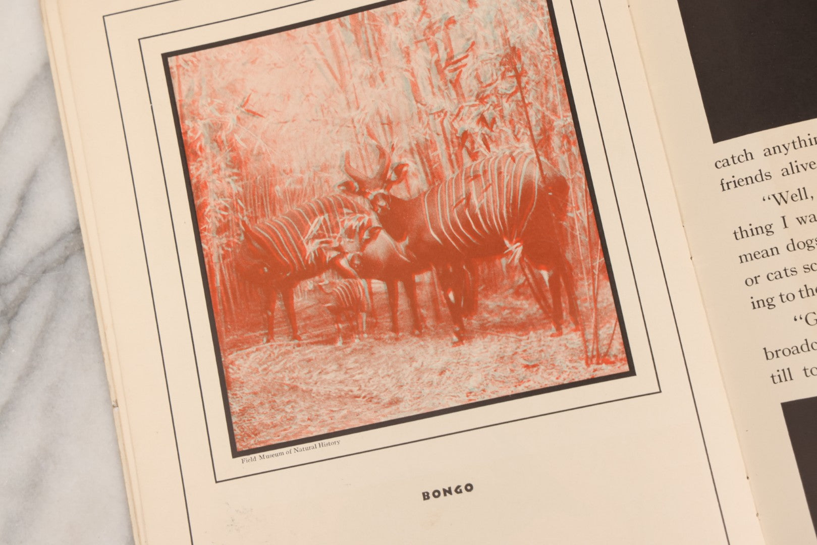 Lot 160 - "Strange Animal Stories" Antique Children's 3D Book With Ortho-Scope By Helen McKenna, Published By Dickery Company, Chicago, 1936